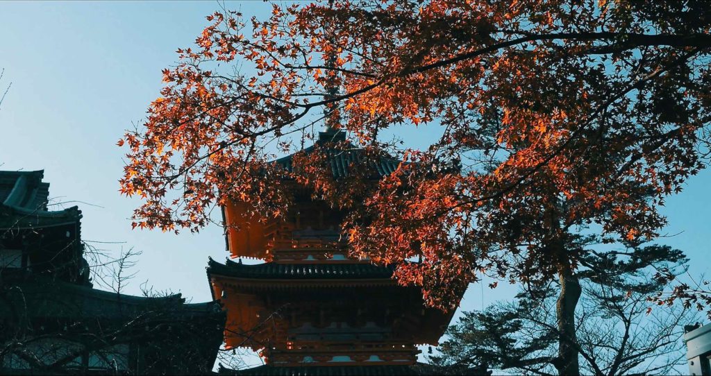 清水寺の三重塔と紅葉