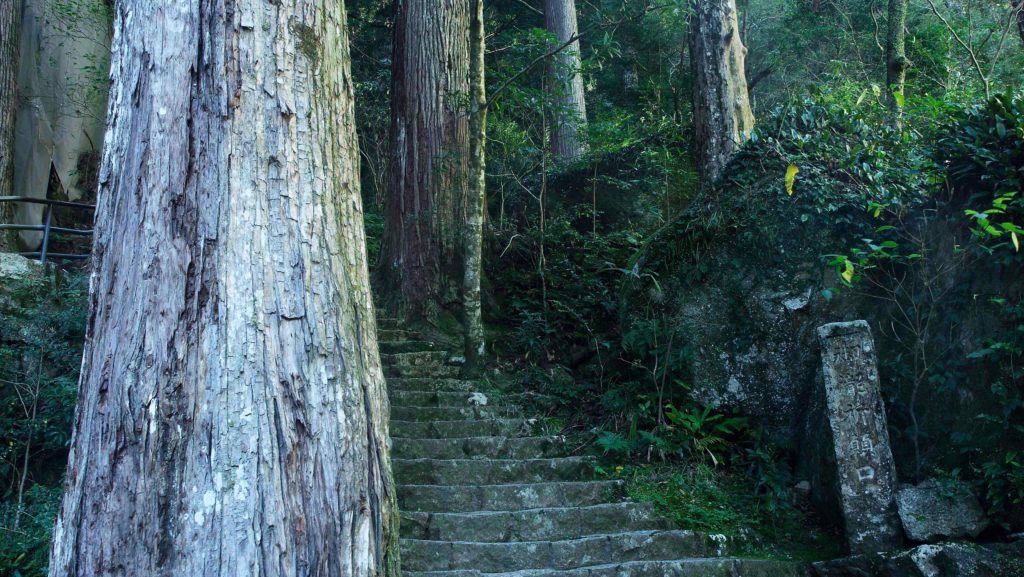 飛瀧神社境内の石段